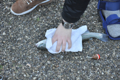 DSC_9821