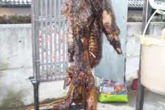 P1050493